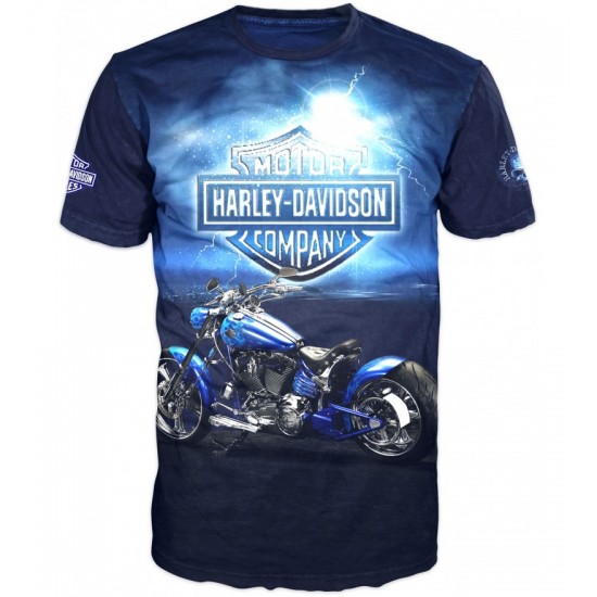Harley Davidson 4020 T-shirt for the motorcycle enthusiasts